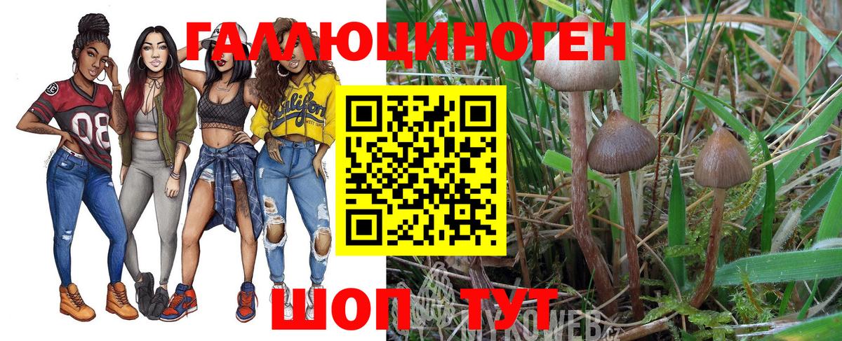 Псилоцибиновые грибы прущие грибы Химки
